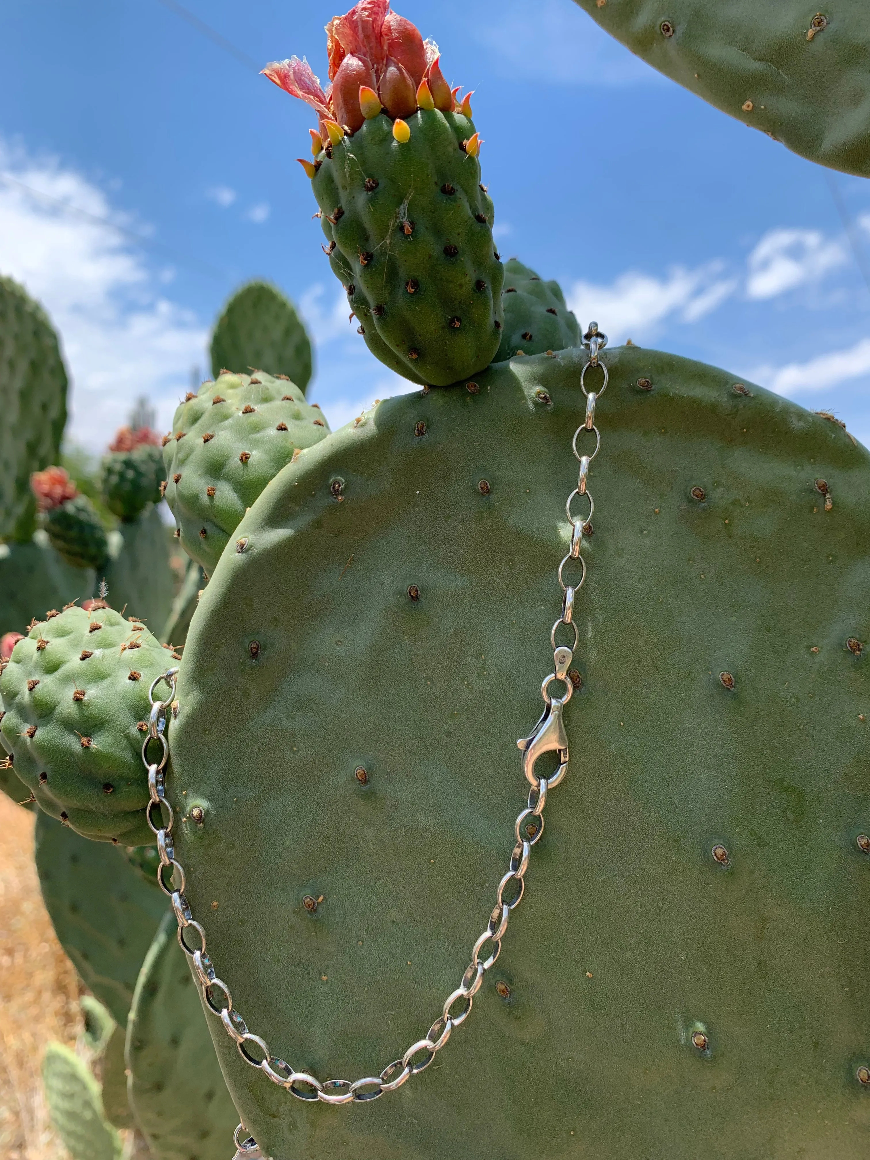 A White Buffalo Lariat necklace & earring set