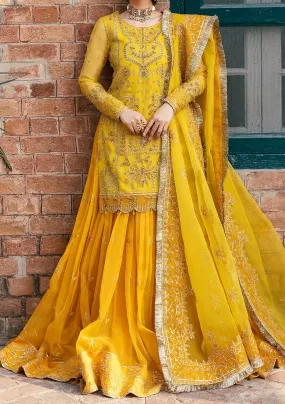 Akbar Aslam Cailin Pakistani Organza Lehenga Suit