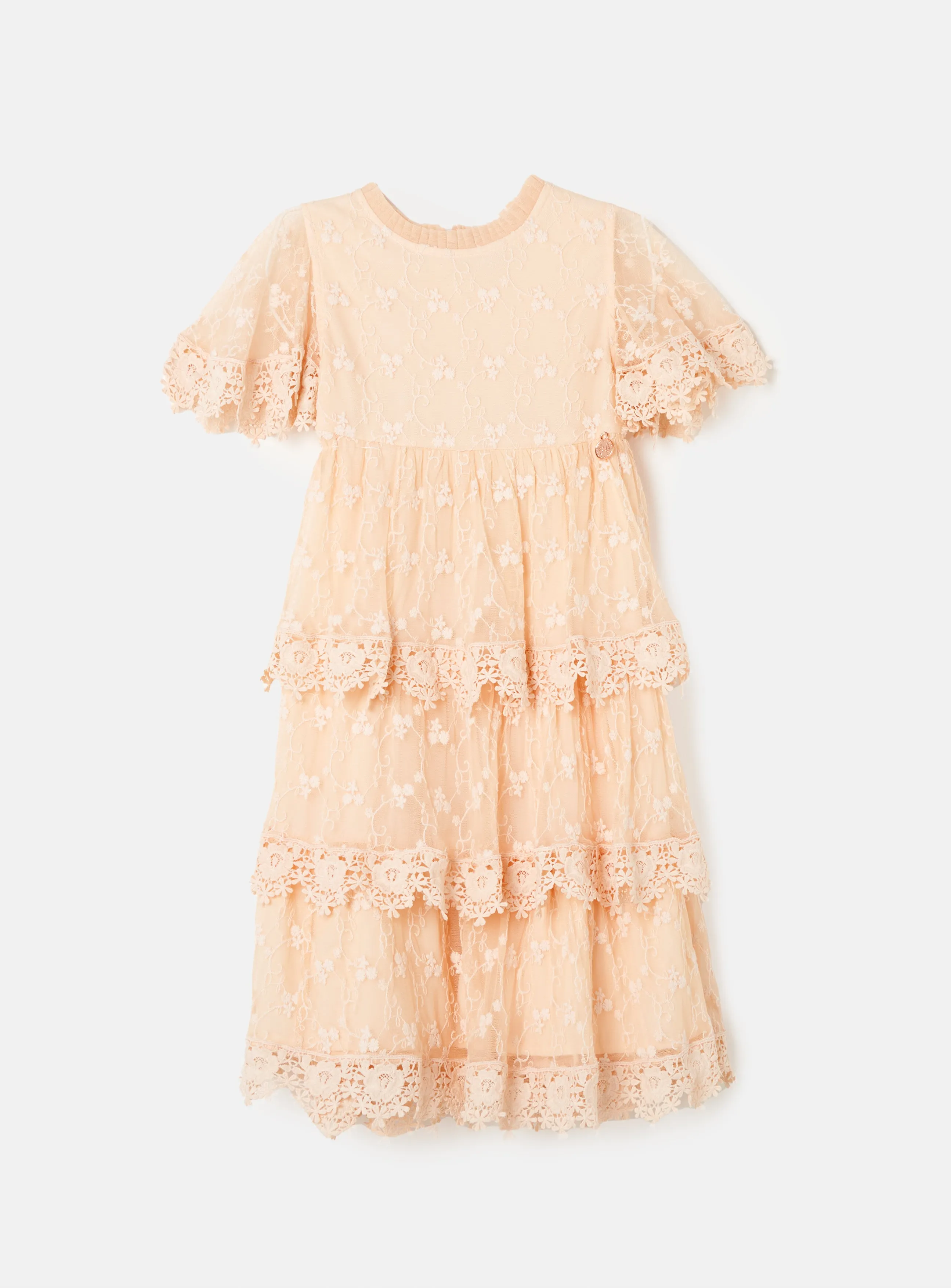 Annabelle Mesh Lace Embroidered Dress