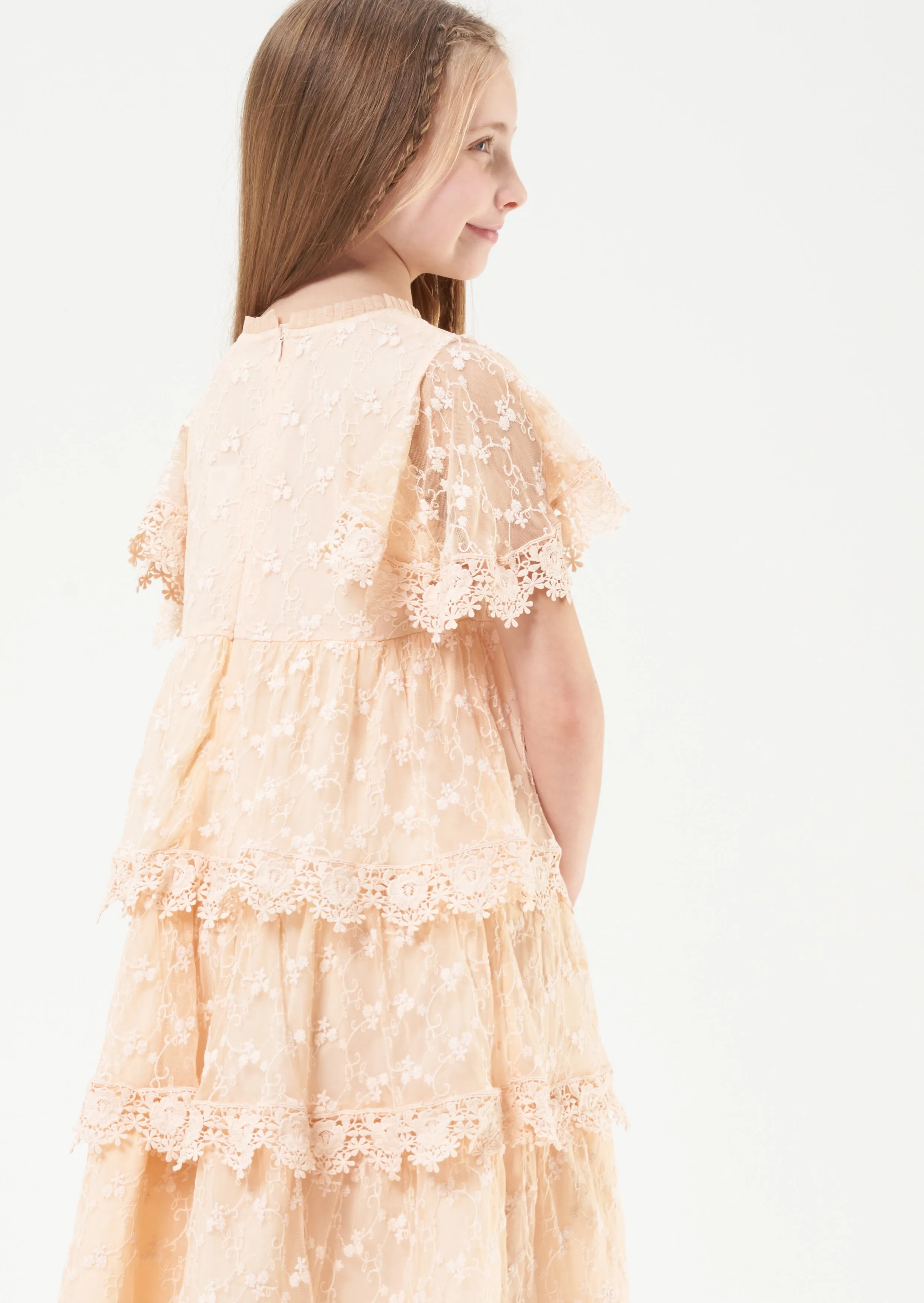 Annabelle Mesh Lace Embroidered Dress