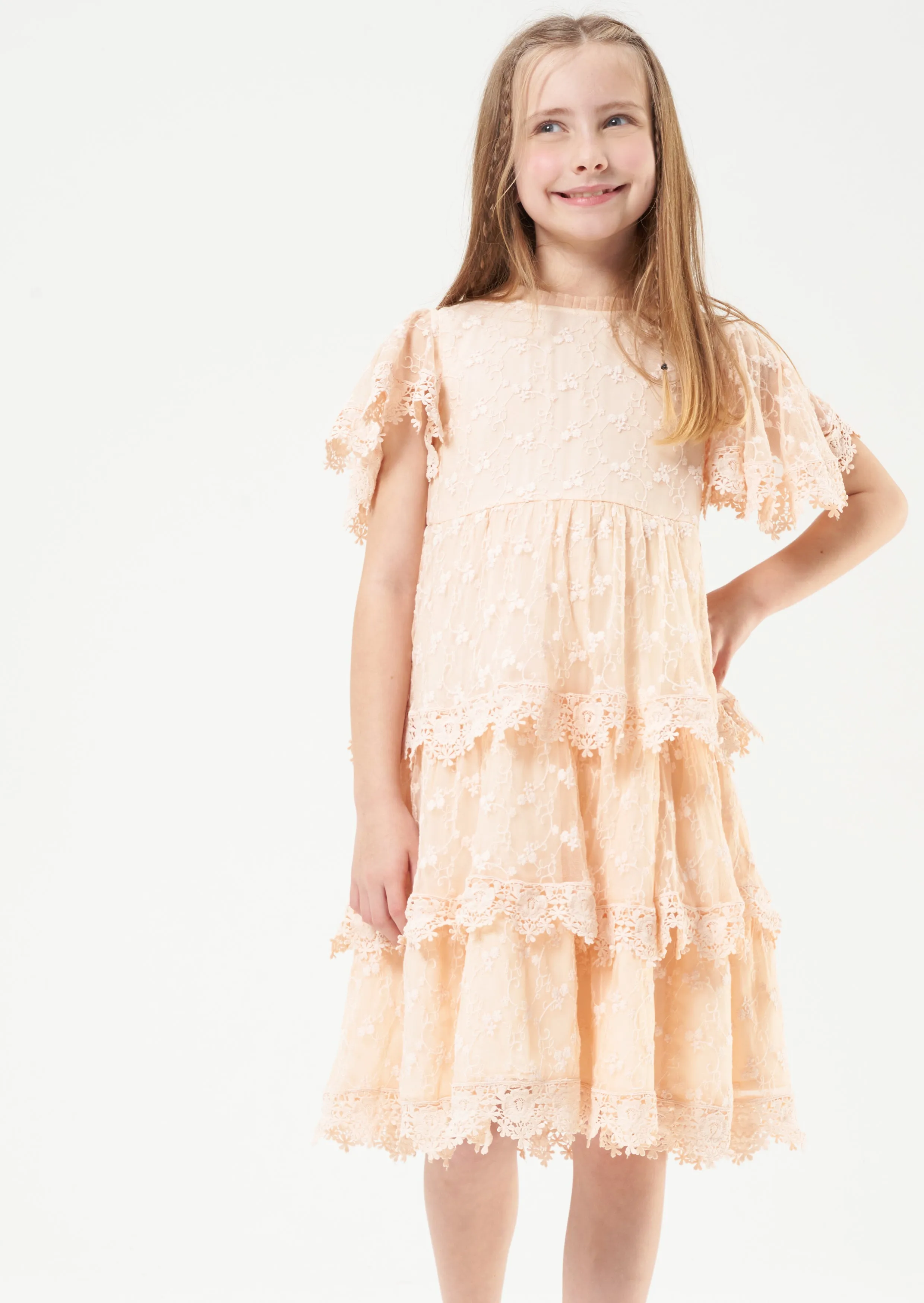 Annabelle Mesh Lace Embroidered Dress