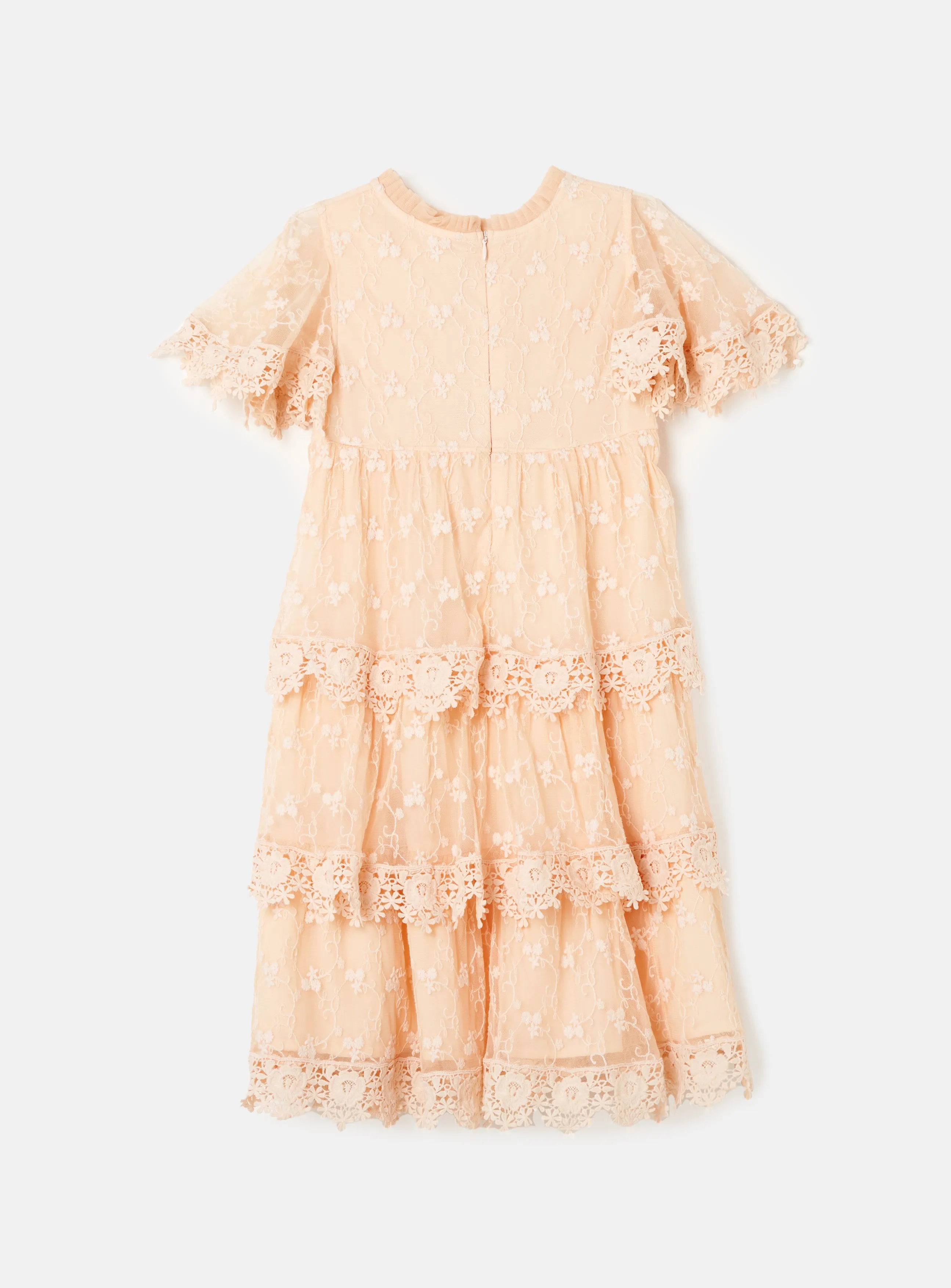 Annabelle Mesh Lace Embroidered Dress