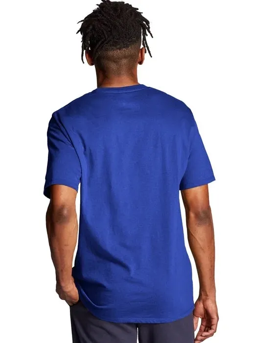 Champion Classic Jersey Tee Surf the Web Gux