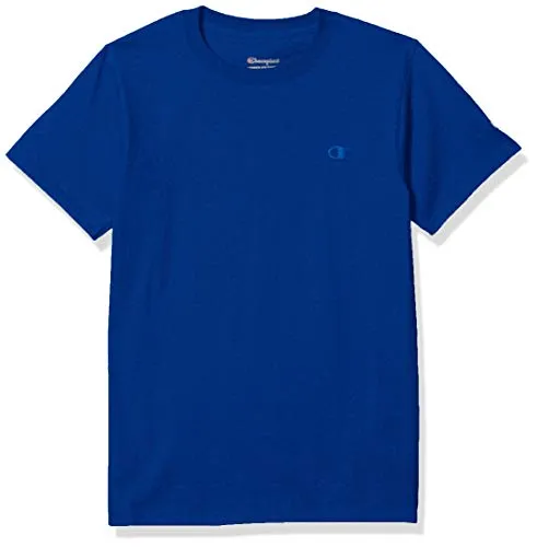 Champion Classic Jersey Tee Surf the Web Gux