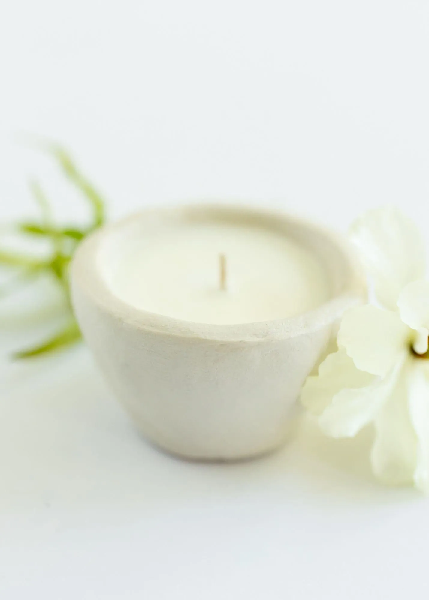 Fig Blossom Candle | 1oz Limited Miujiza Pinch Pot