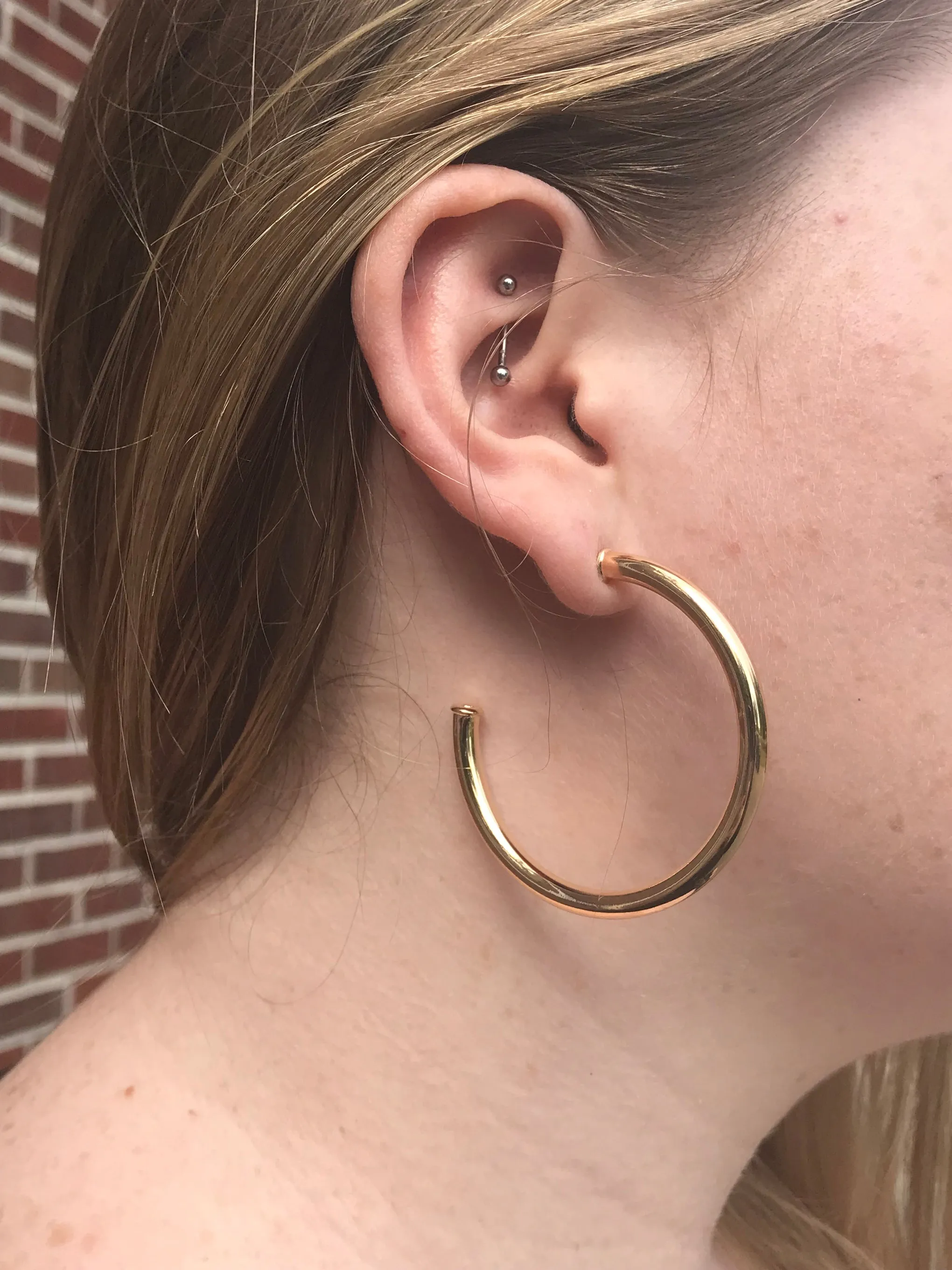 Sheila Fajl Smaller Favorite Hoop Earrings in Polished Champagne